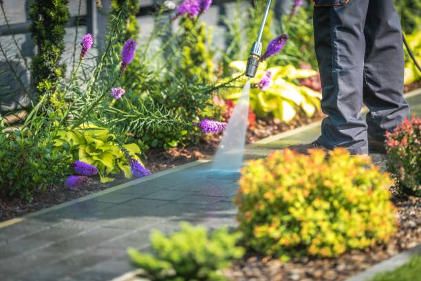 Best Residential Pressure Washing in Apple Valley, MN