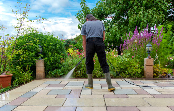 Best Pool Deck Cleaning in Apple Valley, MN